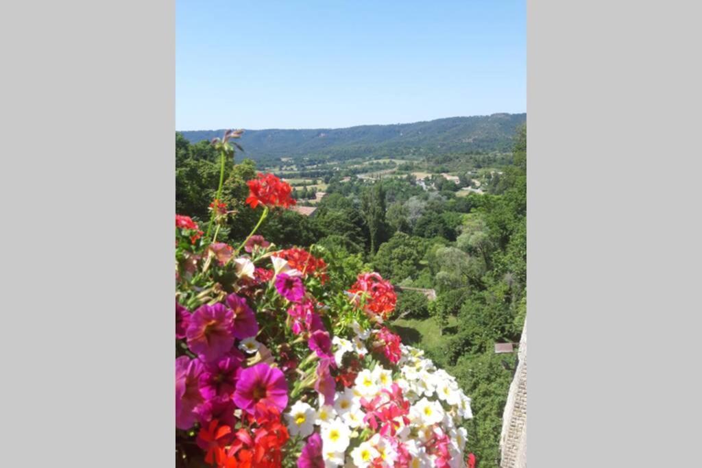 Lou Paradiu Du Verdon Allemagne-en-Provence Luaran gambar